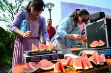 聊城吃瓜塔,揭秘这座城市的独特美食文化