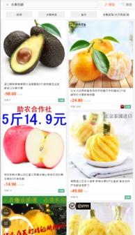 fruit吃瓜app,一站式水果购物新体验