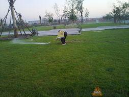 多伦公园吃瓜,瓜果飘香，共享欢乐时光