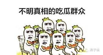 哈子吃瓜群众