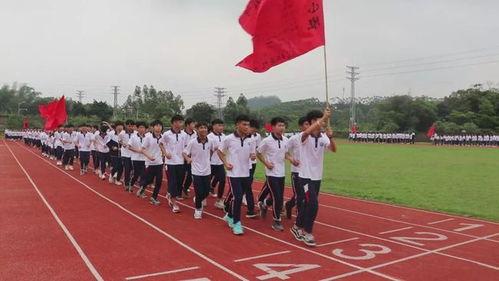 清远技师学院吃瓜,校园吃瓜文化一瞥