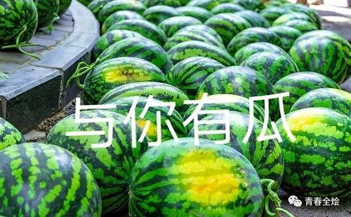 吃瓜陕西高二,高二生眼中的历史与现代交融