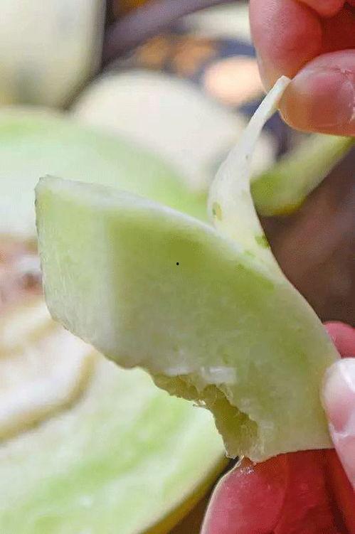 牢底吃瓜,揭秘狱中生活点滴